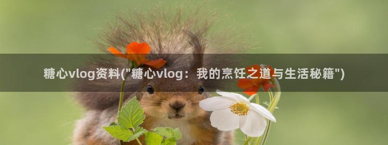 糖心vlgo派大星在线播放