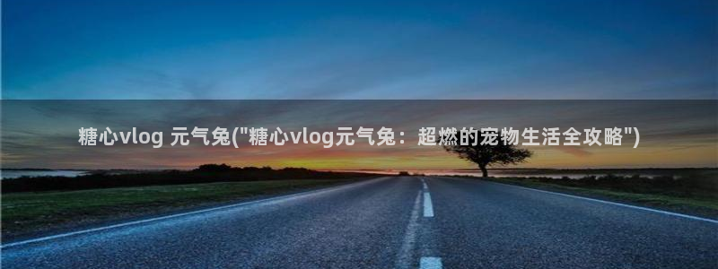 《糖心》：糖心vlog 元气兔(\