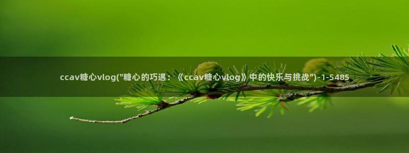 糖心velo：ccav糖心vlog(\