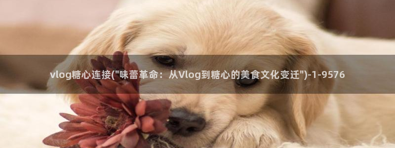 www.心糖：vlog糖心连接(\