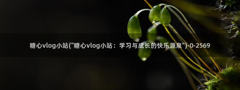 糖心vilog：糖心vlog小站(\