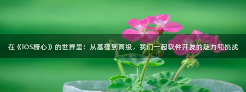 糖心vlgo柚子猫网页：在《iOS糖心》的世界里：从基础到高