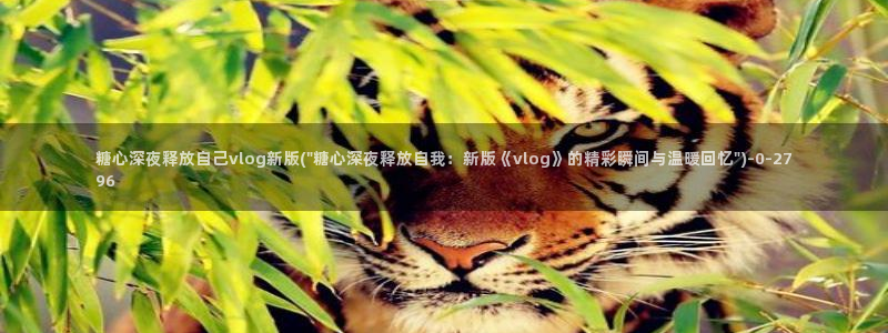 糖心vlog视频在线下载