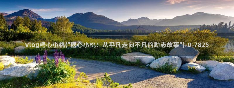 糖心txvlog.com