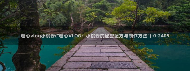 糖心vlog科普