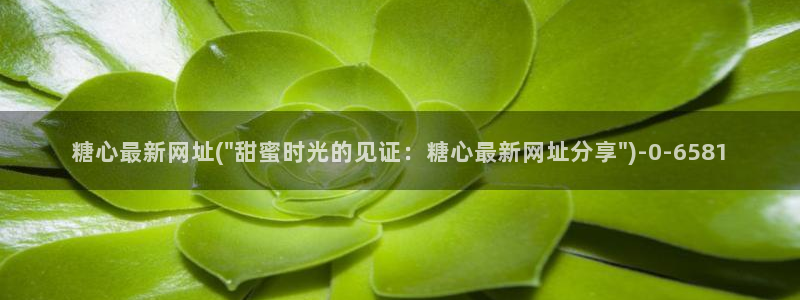 糖心vlog官方在线观看