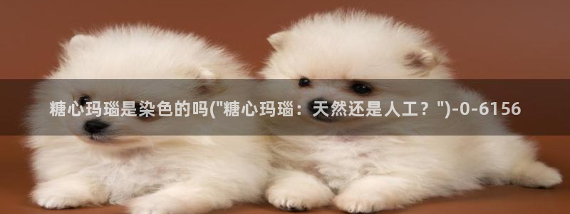 糖心vlog视频观看