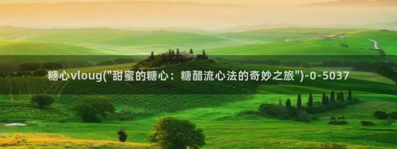 糖心vlog什么意思