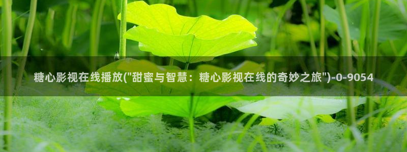 糖心vlog网页入口