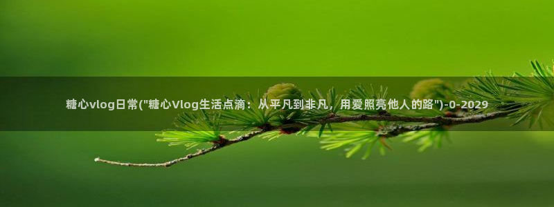 糖心vlog官网在线观看