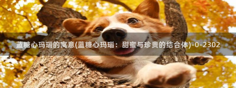 糖心vlog在线观看播放